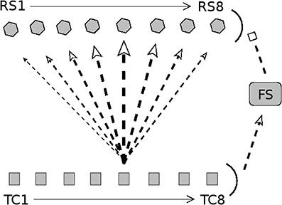 Effects of Adaptation on Discrimination of Whisker Deflection Velocity and Angular Direction in a Model of the Barrel Cortex